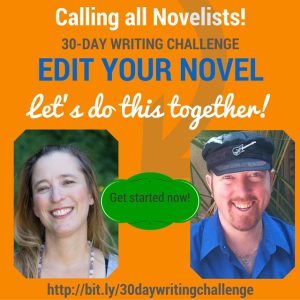 EDIT YOUR NOVEL-Beth Barany