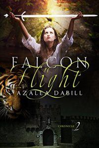 falcon-flight-cover