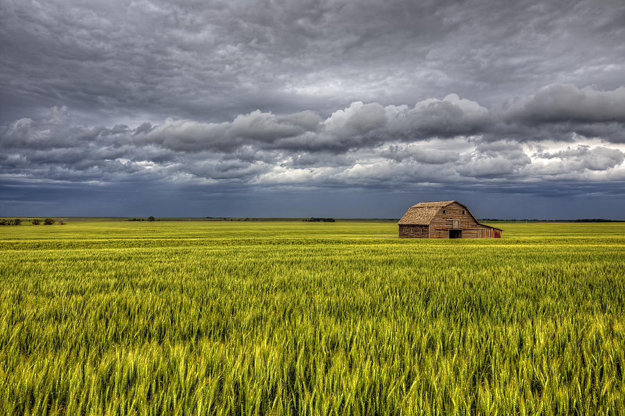 Пшеничные штаты. Штат Канзас природа. Американская ферма штат Канзас. Пшеничный штат Канзас. Кукурузное поле штата Канзас.