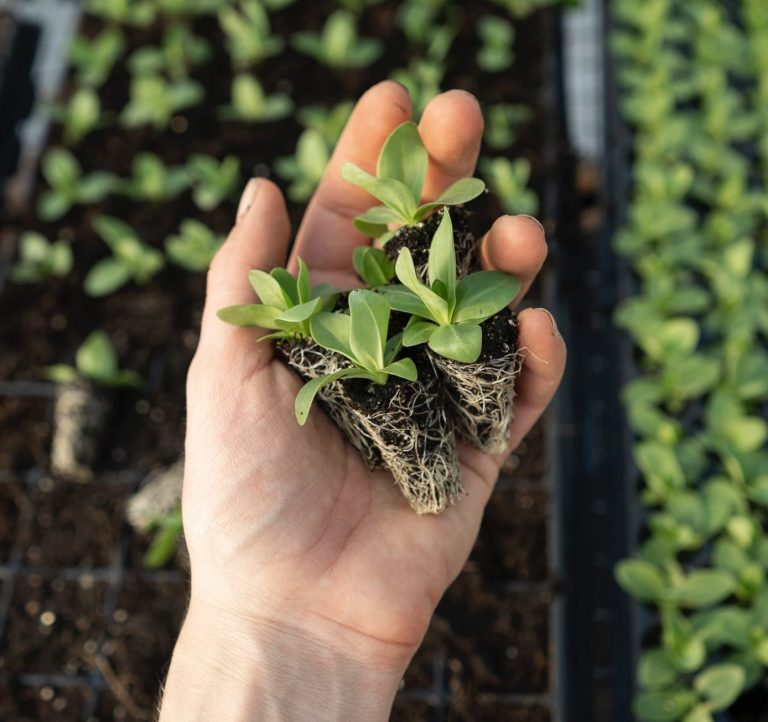 3 Ways For Nonfiction Writers to Plant Marketing Seeds