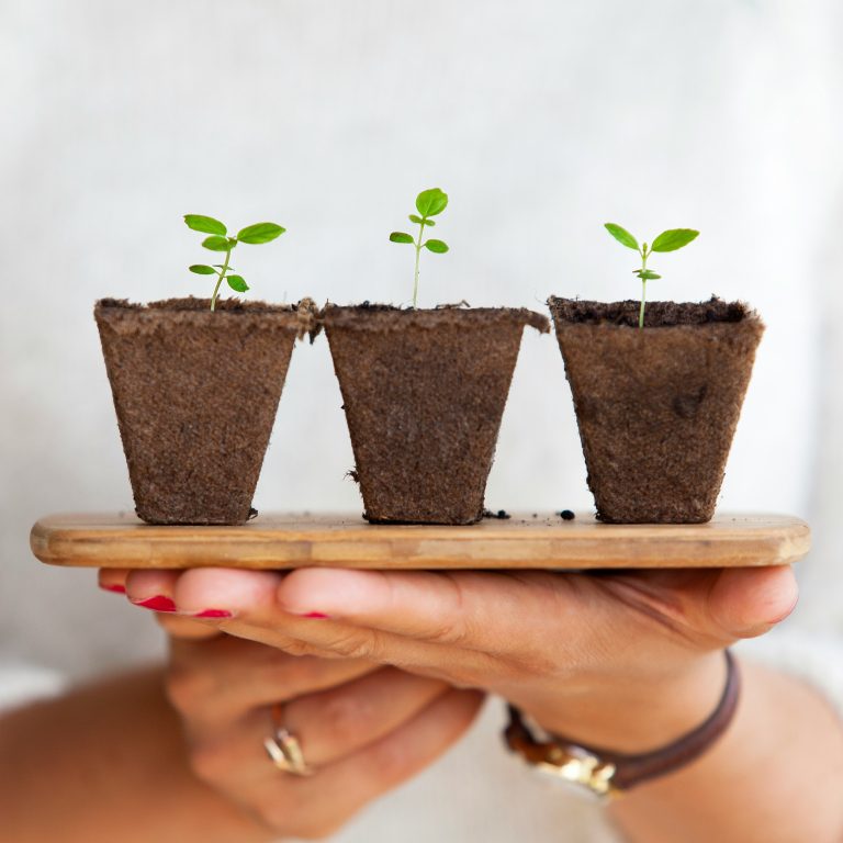 4 Wonderful Ways to Courageously Develop and Grow as a Writer