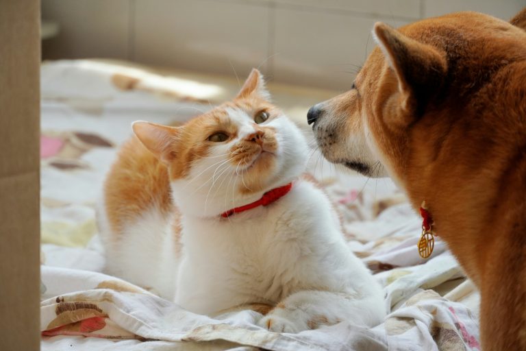 5 Strategies to Pacing Your Dialogue